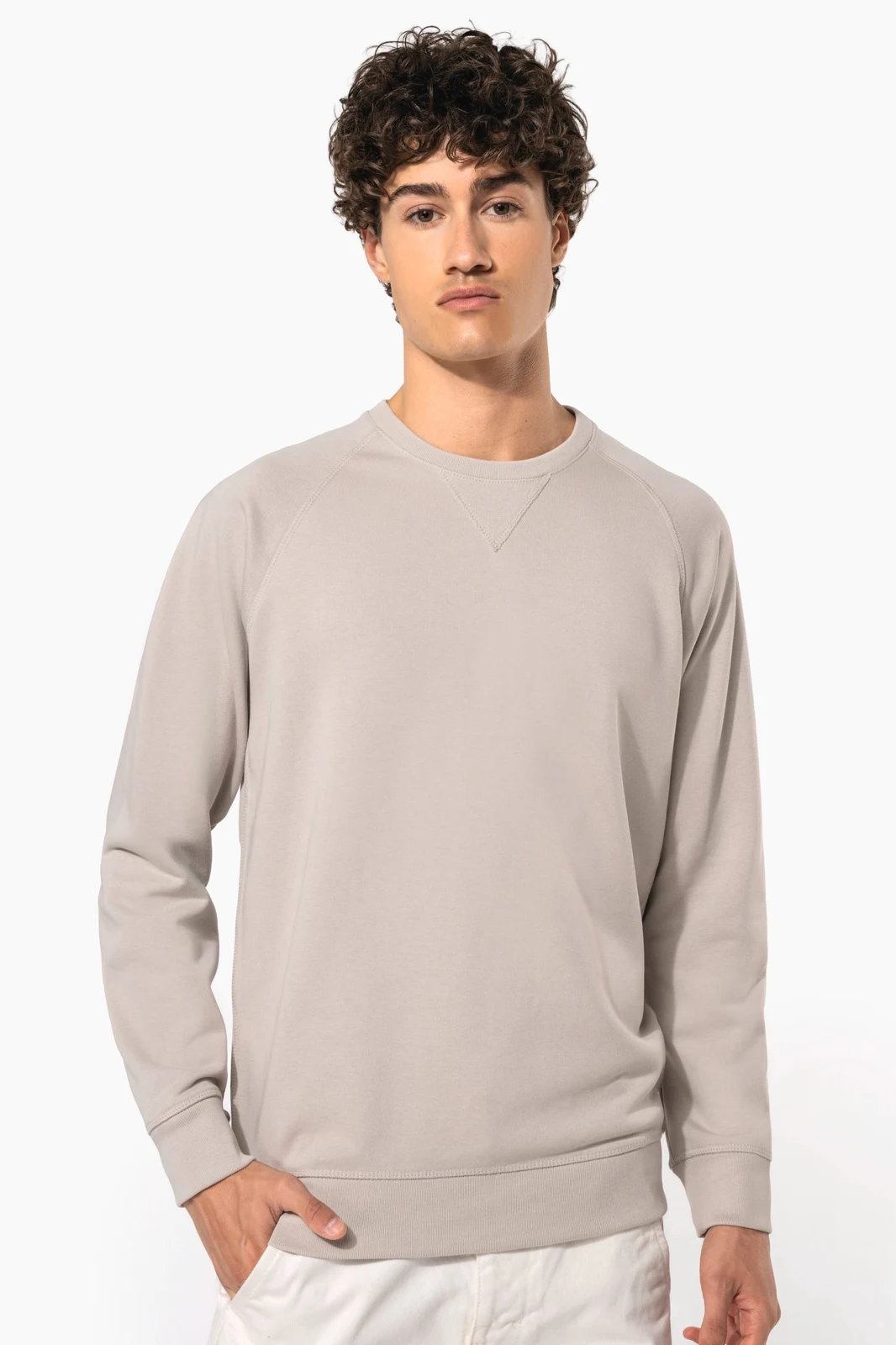 Herren Sweatshirt BIO-BAUMWOLLE Rundhalsausschnitt Raglanärmel