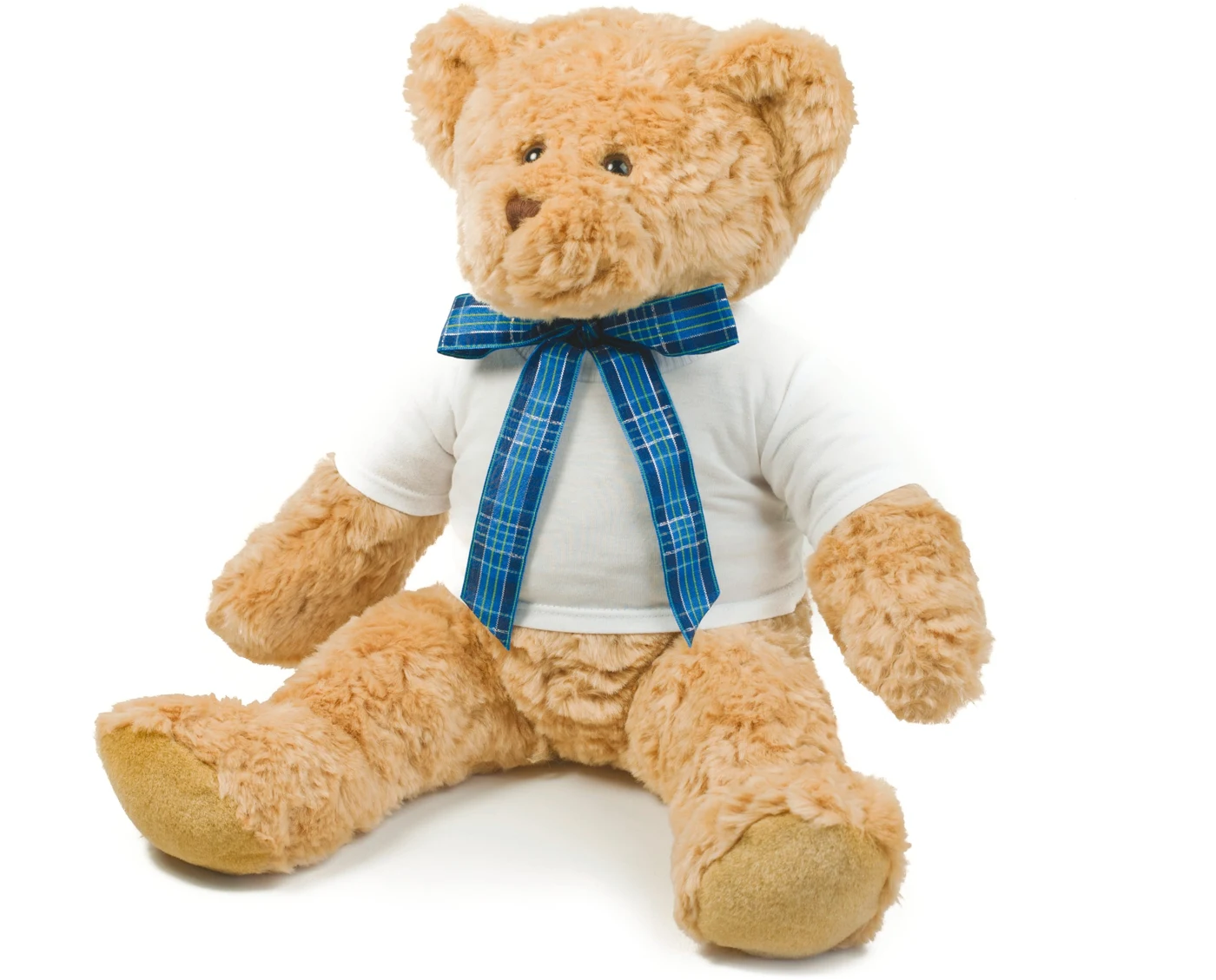 Teddy T-Shirt